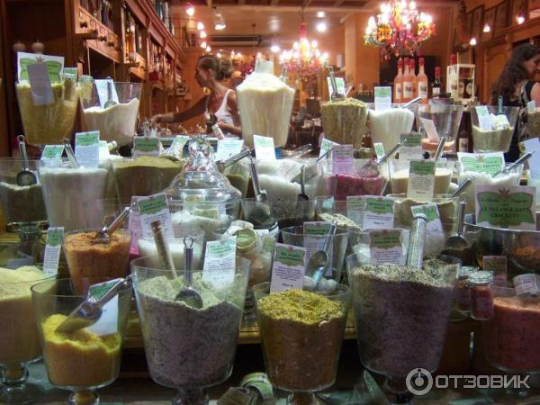 Отдых в г. Ницца (Франция, Лазурный берег) фото