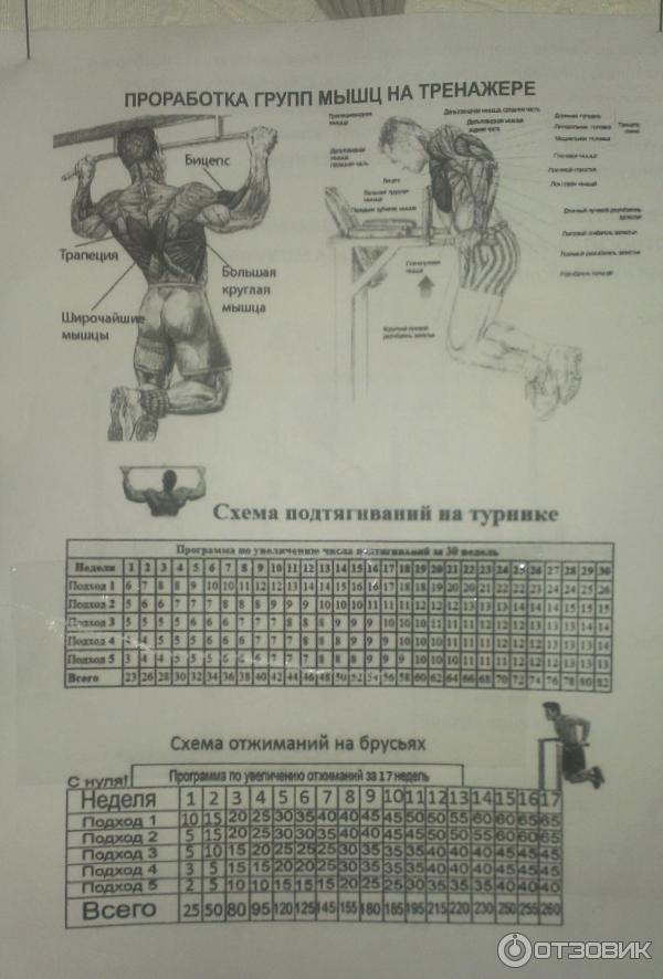 вид прямо