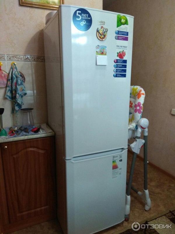 Beko no frost отзывы. Холодильник Beko no Frost. Холодильник Beko no Frost cn332220b. Холодильник веко двухкамерный ноу Фрост. Холодильник веко no Frost.