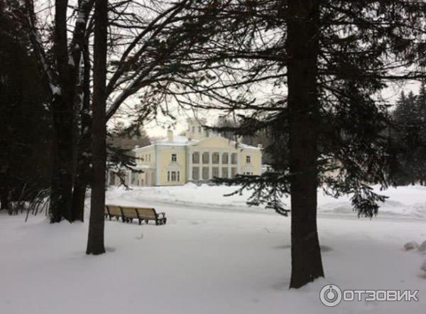 Вид на усадьбу Валуево