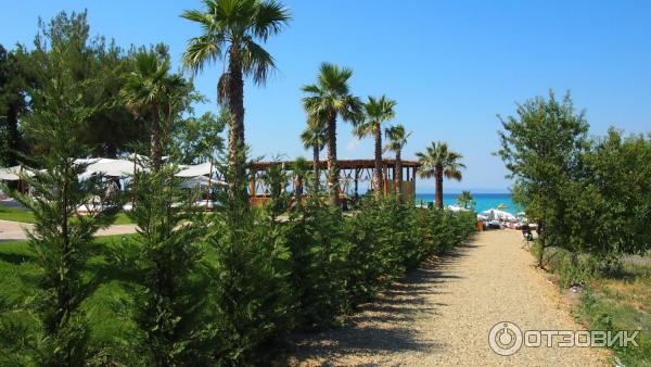 Пляж Achinos beach (Греция, Халкидики) фото