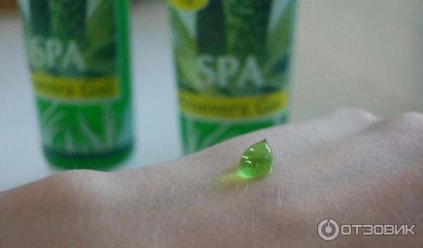 Увлажняющий гель C&B Dead Sea Aloe Vera Gel фото