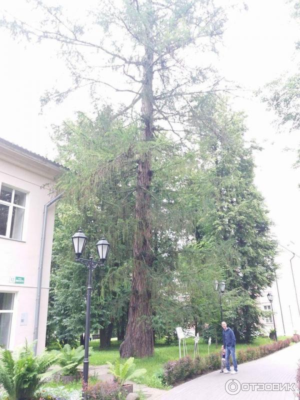 Музей-заповедник А. С. Пушкина Усадьба Вяземы (Россия, Московская область) фото