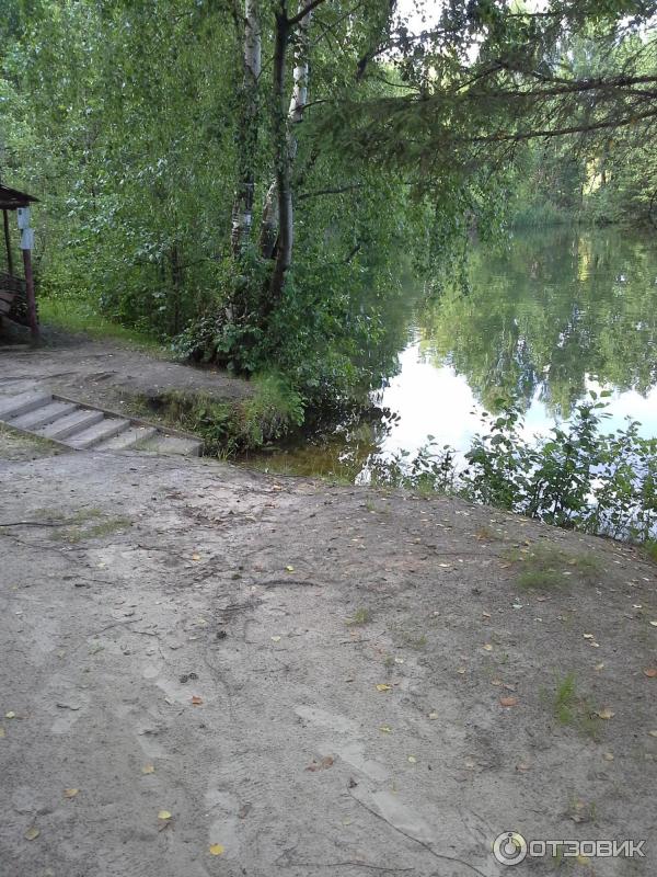 Золинское озеро нижегородская область. Золинское озеро Нижегородская. Золинское озеро Нижегородская область пляж. Золинское озеро Дзержинск. Золинское озеро фото.