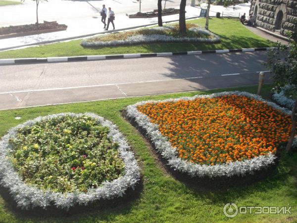 Сквер Храма Христа Спасителя (Россия, Москва) фото