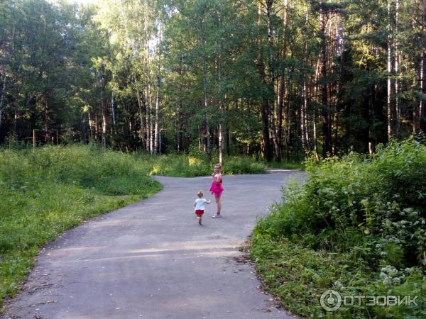 Парк харинка ул павла большевикова 29 фото Отзыв о Парк культуры и отдыха "Харинка" (Россия, Иваново) Все вокруг наполнено 