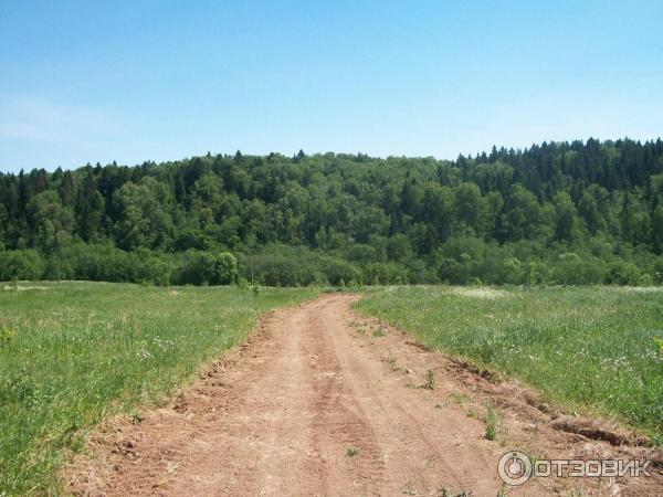 Источник Гремячий ключ (Россия, Московская область) фото