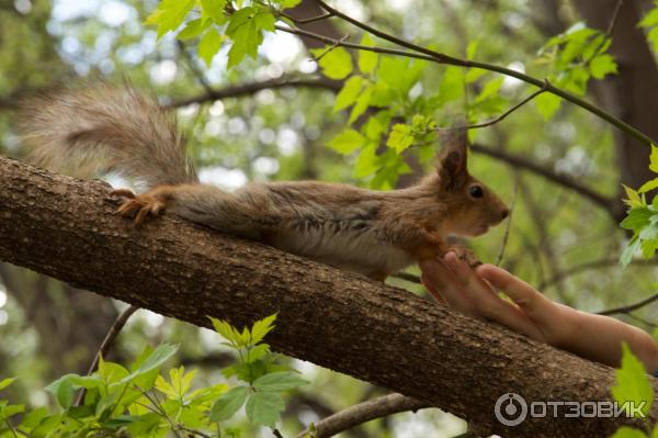 Fotoshkola.net - онлайн-фотошкола
