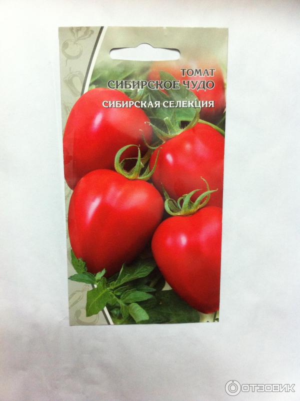 Томат сибирское чудо урожайность. Томат чудо Сибири. Семена томат Сибирское чудо. Томаты сибирской селекции. Сорт помидор Сибирское чудо.