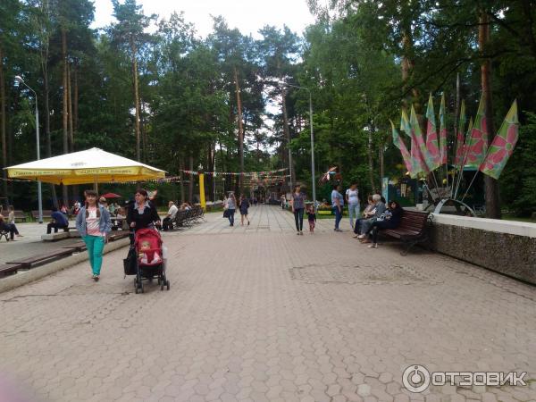 Парки Обнинска Фото