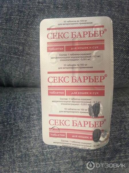 Что Пить Чтоб Не Хотеть Секса Что Пить Чтоб Не Хотеть Секса