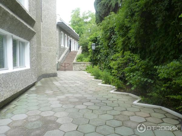 Дорожка