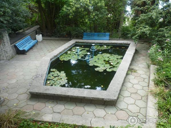 Фонтан с бассейном, в котором цветут лотосы и плавают рыбки