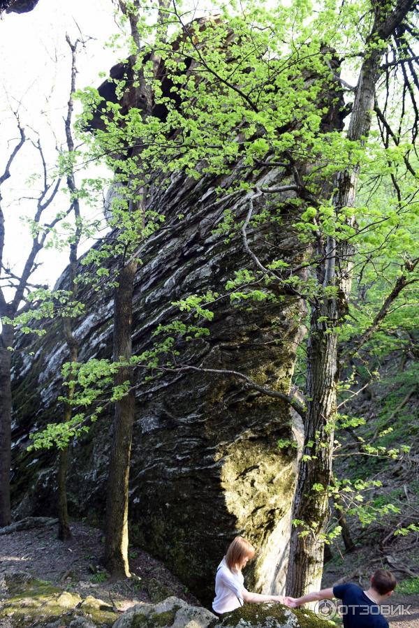 Экскурсия по г. Железноводск (Россия, Ставропольский край) фото