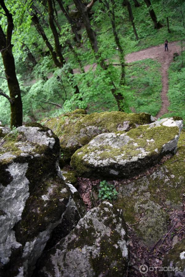 Экскурсия по г. Железноводск (Россия, Ставропольский край) фото