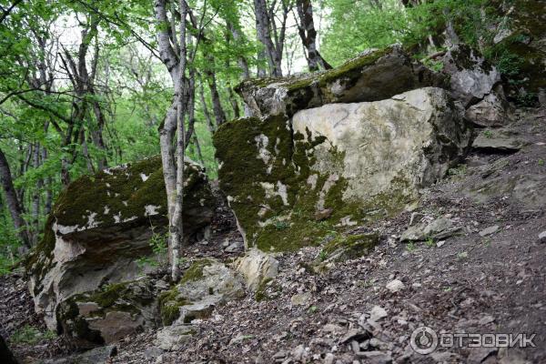 Экскурсия по г. Железноводск (Россия, Ставропольский край) фото