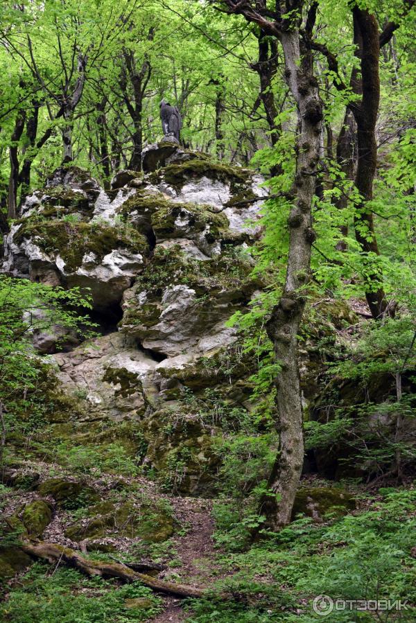 Экскурсия по г. Железноводск (Россия, Ставропольский край) фото