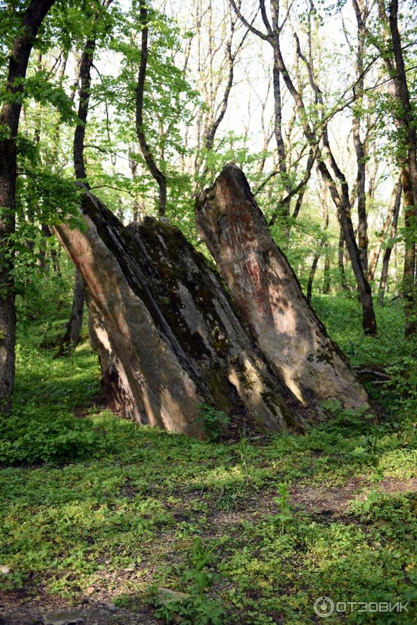 Экскурсия по г. Железноводск (Россия, Ставропольский край) фото