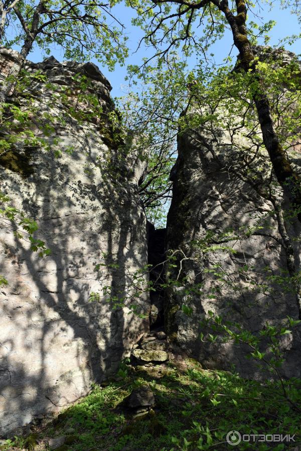 Экскурсия по г. Железноводск (Россия, Ставропольский край) фото