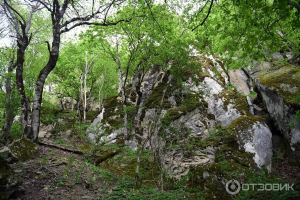 Экскурсия по г. Железноводск (Россия, Ставропольский край) фото