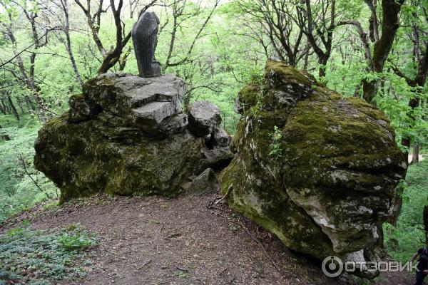 Экскурсия по г. Железноводск (Россия, Ставропольский край) фото