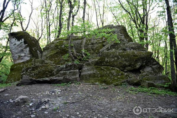 Экскурсия по г. Железноводск (Россия, Ставропольский край) фото