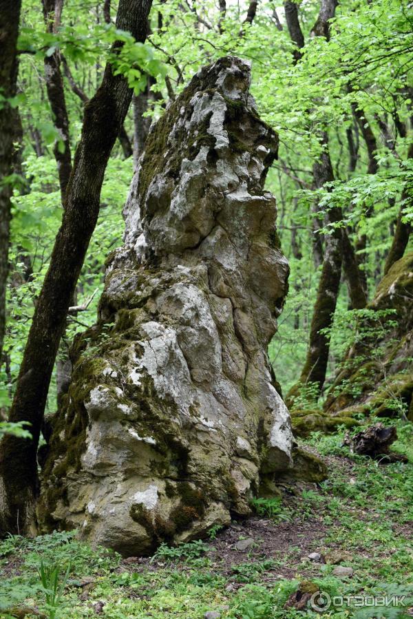 Экскурсия по г. Железноводск (Россия, Ставропольский край) фото