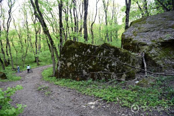 Экскурсия по г. Железноводск (Россия, Ставропольский край) фото