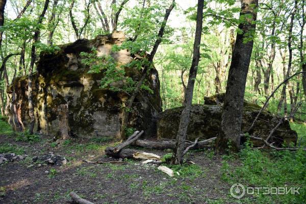 Экскурсия по г. Железноводск (Россия, Ставропольский край) фото