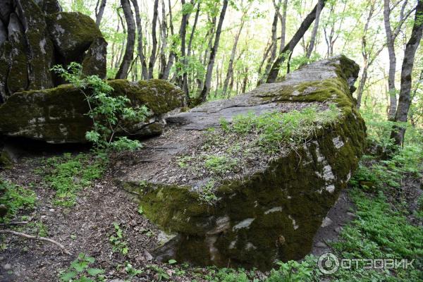 Экскурсия по г. Железноводск (Россия, Ставропольский край) фото