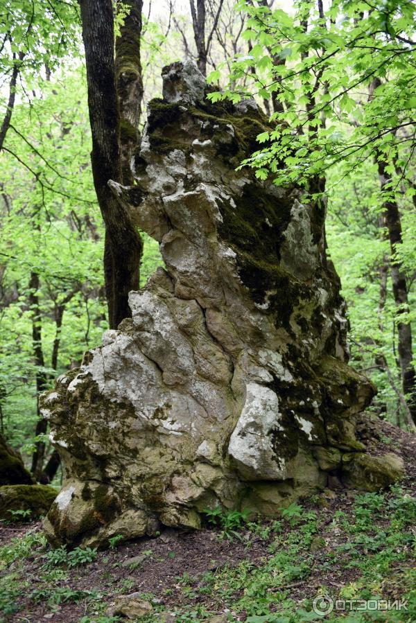 Экскурсия по г. Железноводск (Россия, Ставропольский край) фото