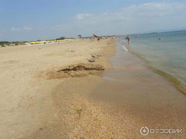 Отель Venera Resort (Россия, Витязево) фото