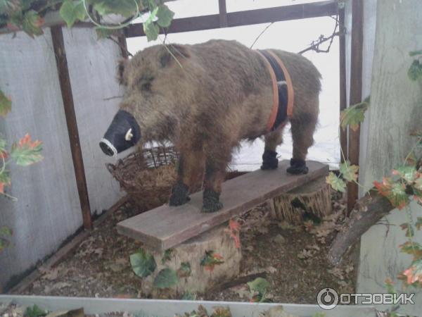 Парк национальной культуры и отдыха Добродея (Россия, Анапа) фото