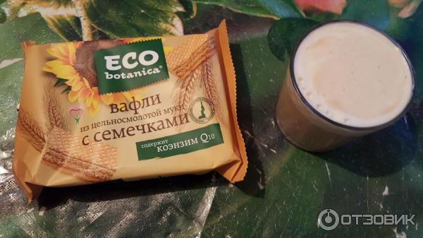 Eco Botanica