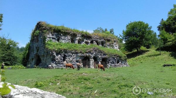 Храм амбара гудаутский район мюссерский заповедник фото