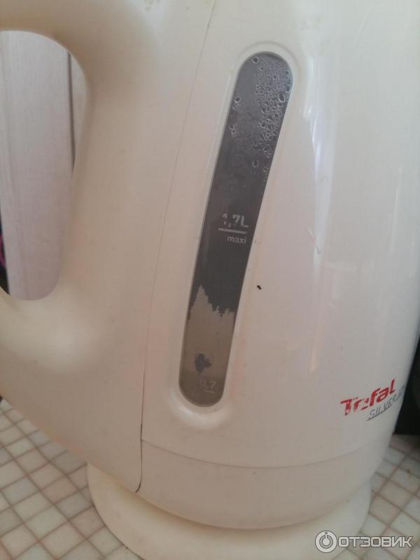 Электрочайник Tefal BF 9252 Silver Ion фото