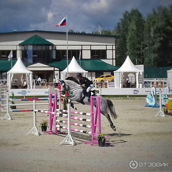 Дубрава конный клуб Екатеринбург