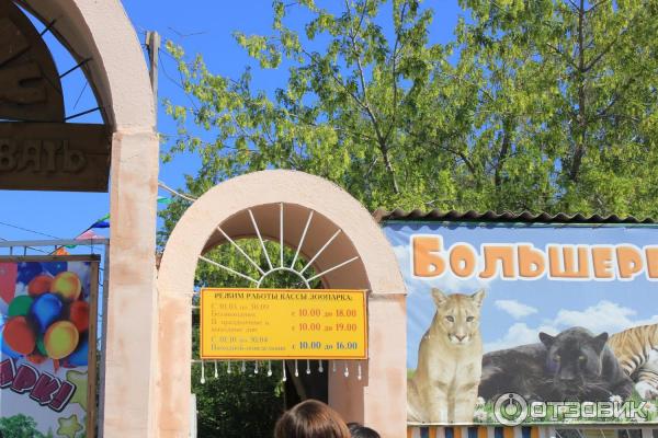 Расписание зоопарка. Зоопарк. Расписание большереченского зоопарка. Расписание большереченского зоопарка. Расписание большереченского зоопарка.