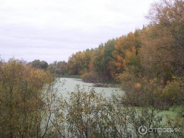 Отдых в г. Великий Новгород (Россия) фото