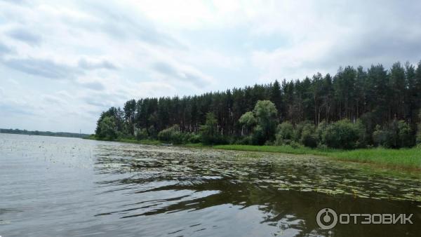 Отдых в Тверской области (Россия) фото