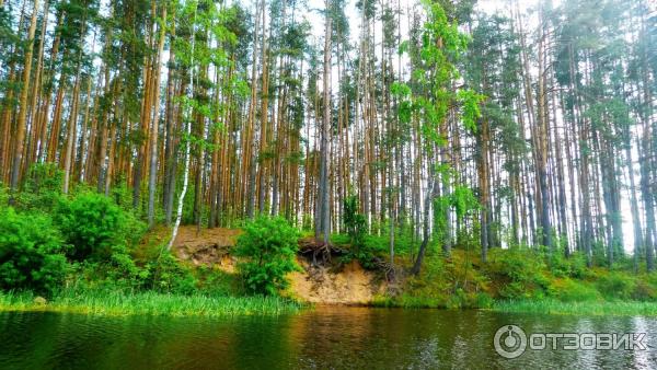 Отдых в Тверской области (Россия) фото