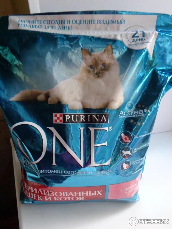 Корм для кошек Purina one Actilea фото