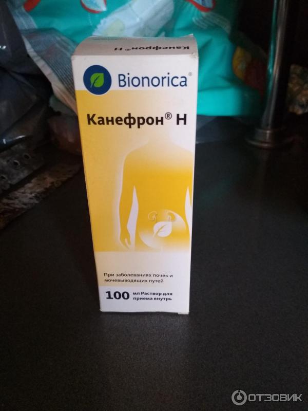 Канефрон детям при цистите. Bionorica канефрон. Капли при цистите канефрон. Канефрон 30. Канефрон 100мл.