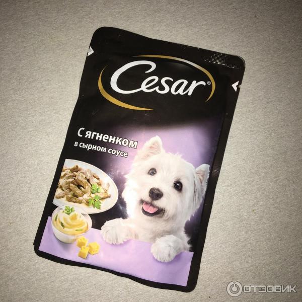 Купить Корм Для Собак На Озоне