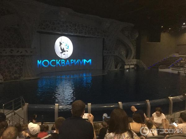 Москвариум Можно Ли По Пушкинской Карте Купить