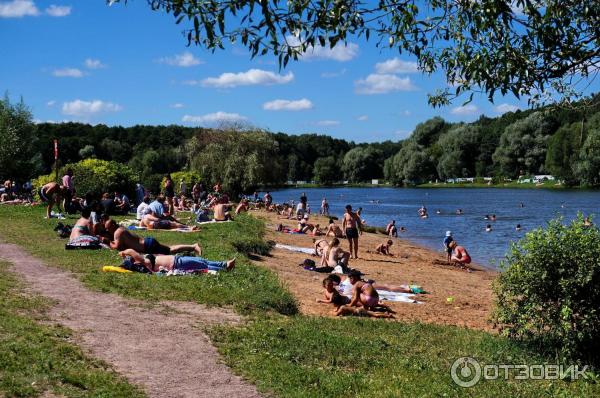 Терлецкий лесопарк (Россия, Москва) фото