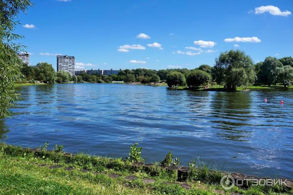 Терлецкий лесопарк (Россия, Москва) фото