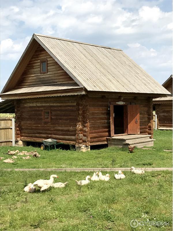 Экскурсия по г. Булгар (Россия, Татарстан) фото