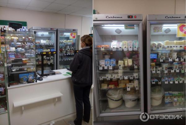 Фирменный магазин молочной продукции Молочные продукты Пушкиногорья (Россия, Пушкинские горы, ул. Лермонтова, д. 10) - интерьер - кассовая зона, холодильники