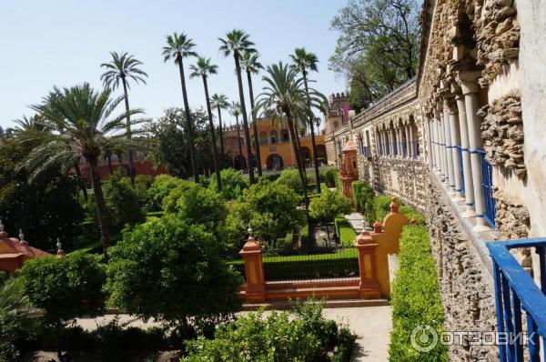 Севильский Алькасар (Reales Alcazares de Sevilla) (Испания, Севилья) фото